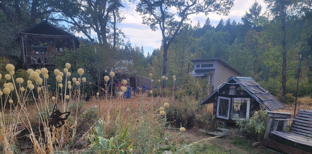 a scenic photo of the outdoors and amenities at Camp Queerkster, a queer kinky campout for gender diverse transgender non-binary intersex queers